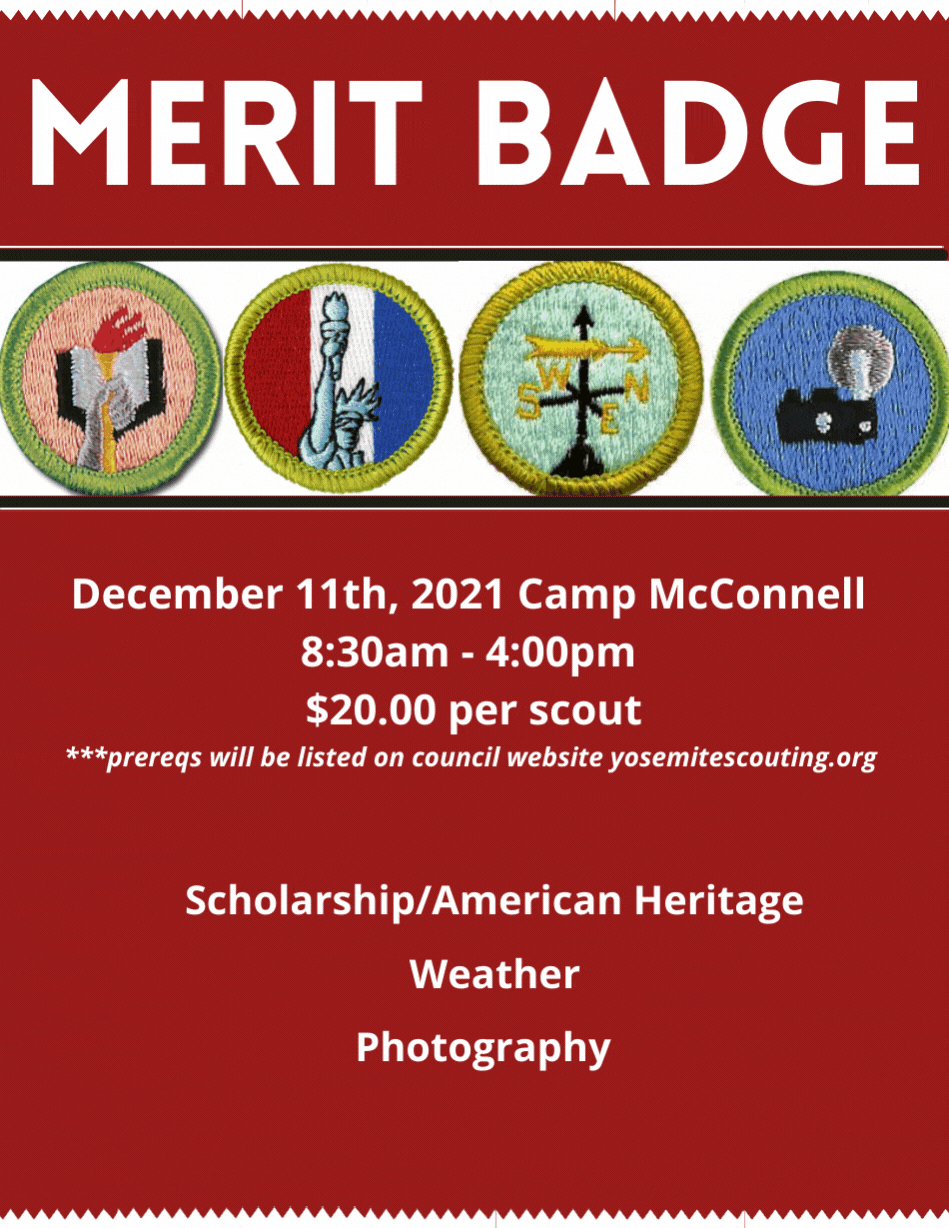 Merit Badge: Scholarship
