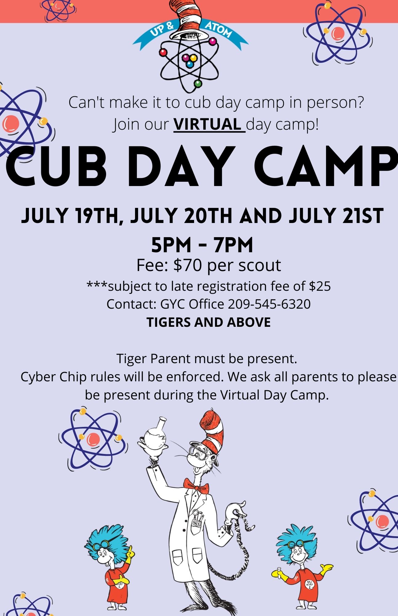 Virtual Cub Day Camp 